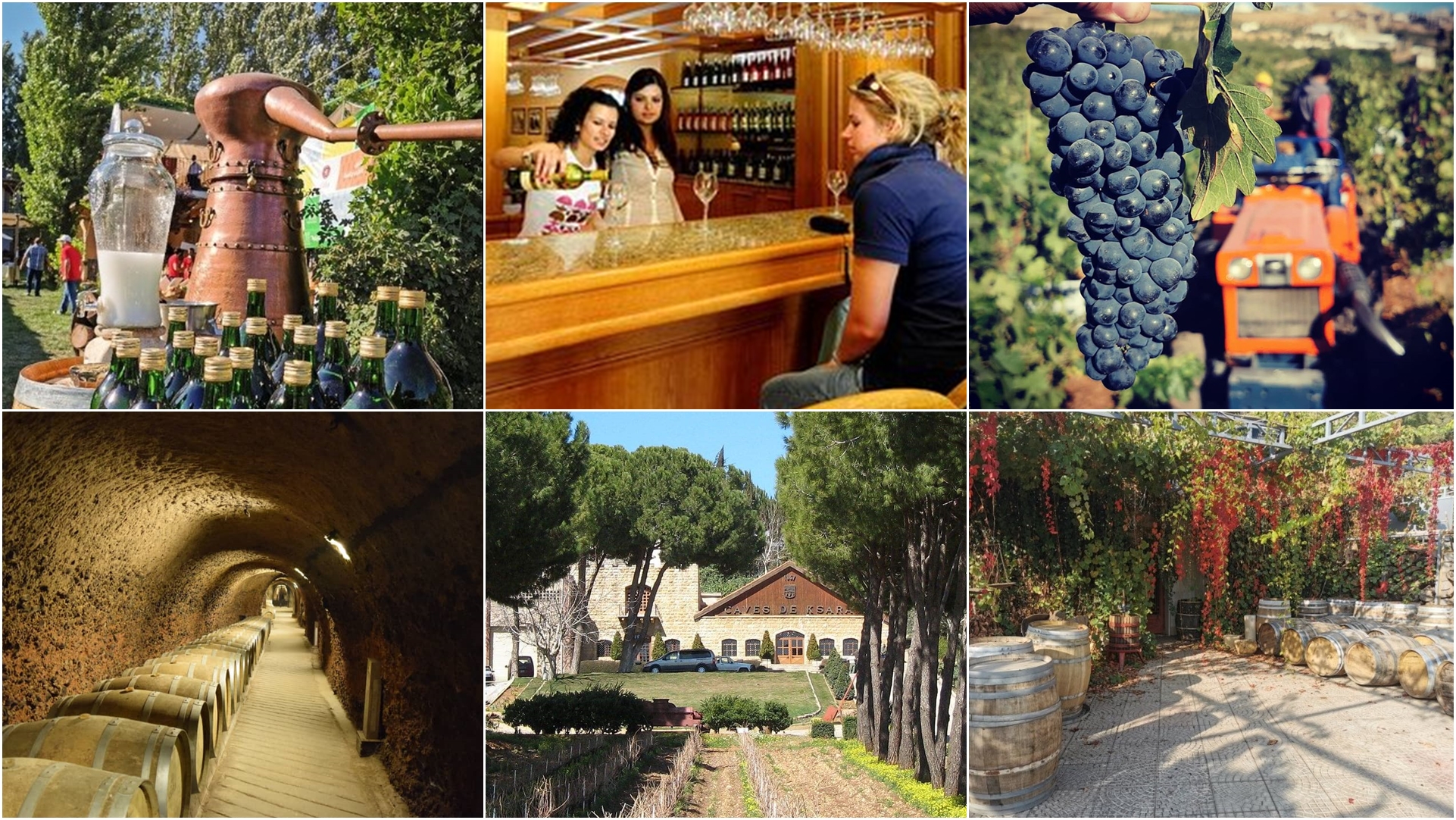 wine tourism lebanon app