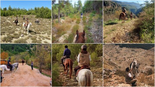 Lebanon Mountains Horseback Riding from Beirut