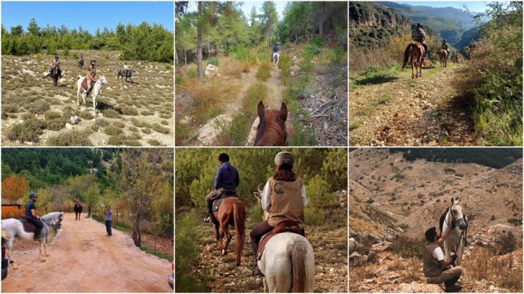 Lebanon Mountains Horseback Riding from Beirut